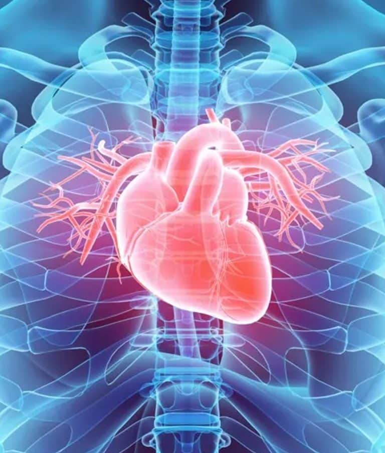 Cardiometabólicos