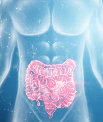 Gastrointestinal